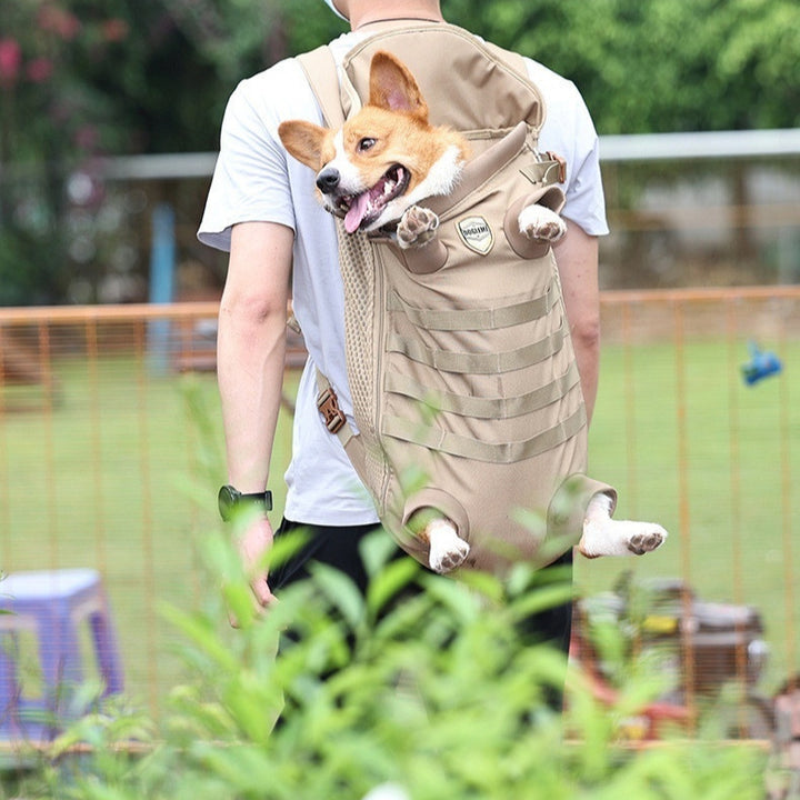 Pet Medium Dog Special Backpack