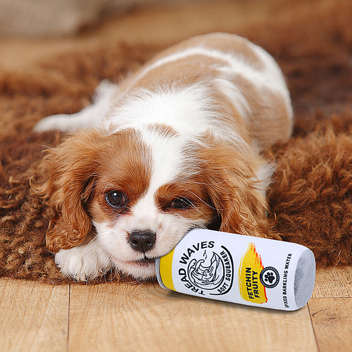 Personalized Dog Vocal Toys Cans